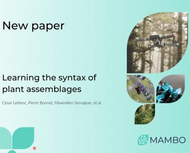 AI model learns the “syntax” of nature to decode plant communities