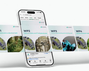 Recent social media campaign highlights MAMBO's work packages