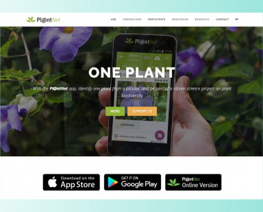 Pl@ntNet: AI powered plant identification for global biodiversity monitoring