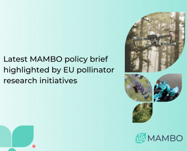 MAMBO featured across EU pollinator project newsletters