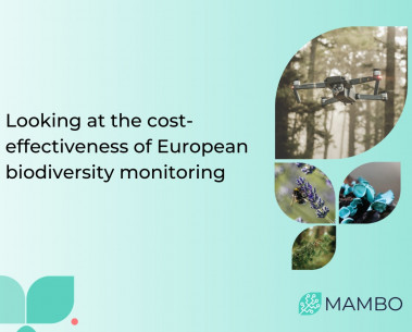 Improving the cost-effectiveness of European biodiversity monitoring