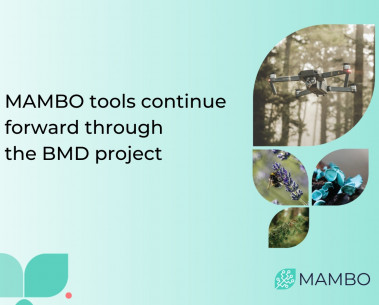MAMBO's mission continues with BMD