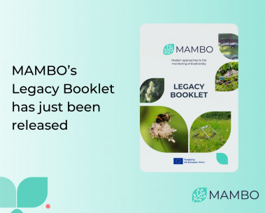 MAMBO releases its Legacy Booklet