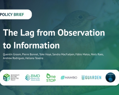 Six research projects work together to reduce the lag between biodiversity data and action