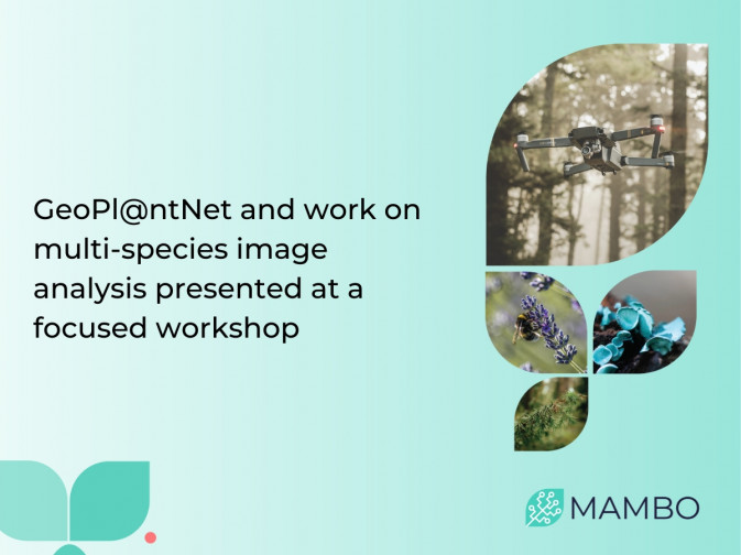 MAMBO present at a vegetation characterisation workshop