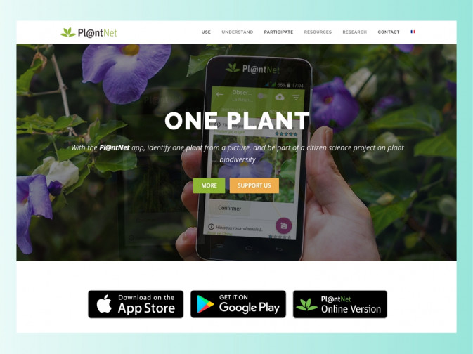 Pl@ntNet: AI powered plant identification for global biodiversity monitoring