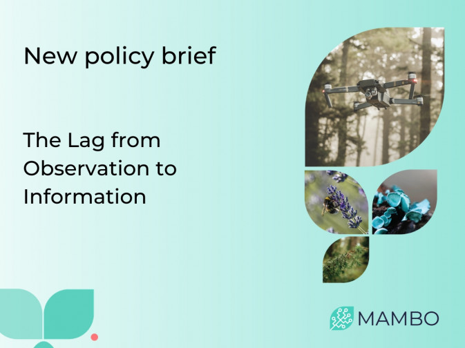 Closing the gap between biodiversity observation and action