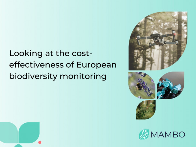 Improving the cost-effectiveness of European biodiversity monitoring