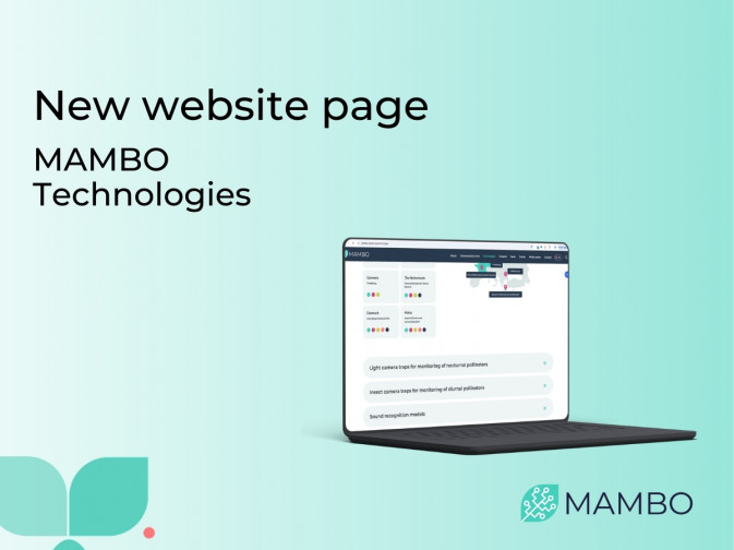 Explore MAMBO's innovations: a new page available on the website