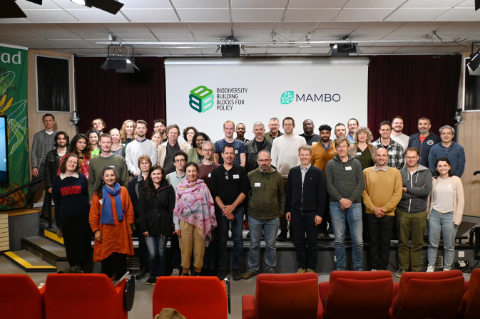 MAMBO's final in-person meeting takes place in Montpellier