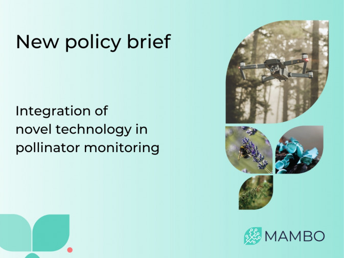 MAMBO's second policy brief